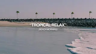 Tropical Beach Morning 🌴🌊 | Gentle Waves, Palm Trees & Deep Relaxation | Rush Relax
