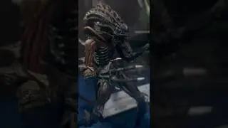 Alien Romulus is Good