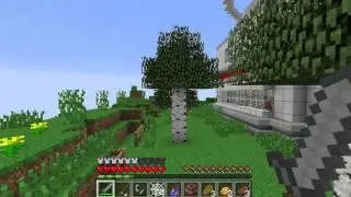 Dibbely duck games 3- to team or not to team REDSKYRULER!