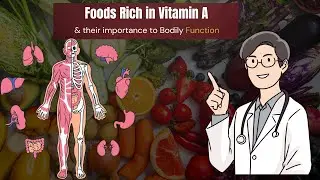 Importance of Vitamin A to Bodily Function