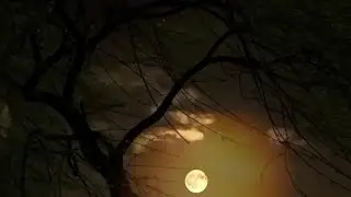 Dil k Raag Dil K Zakham by EchoVerse