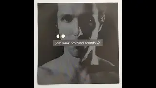 Josh Wink &ndash; Profound Sounds Vol. 2