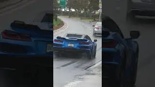 SVJ vs Z06 rev battle🎶🔥 #lamborghinni #aventador #svj #chevorlet #corvette #c8 #z06