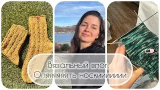 ВB❗️ТЕСТ СПИЦ CHIAOGOO❗️НОСОЧКИ ФЕВРАЛЯ. 4 ГОТОВЫЕ РАБОТЫ