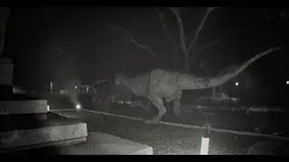 unknown tapes of dinosaurs