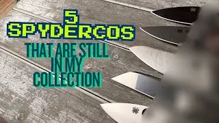 These Spydercos stood the test of time 