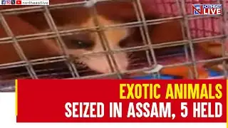 Exotic animals seized in Assam, 5 including a woman, held