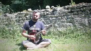 Irish tune on the mandolin. The Kid On The Mountain (slip jig)