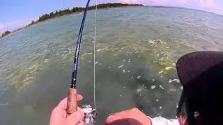 Smallies on the Rocks-Barbless hooks