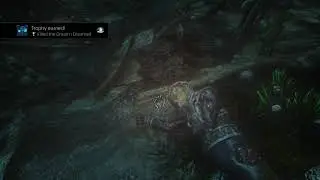 Soma 100% Trophies