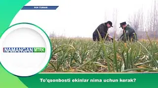 To'qsonbosti ekinlar nima uchun kerak? Namangan axboroti | (05.01.2026)