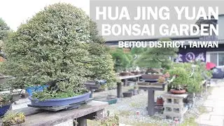 Taiwan Bonsai Garden Tour - Hua Jing Yuan Beitou District