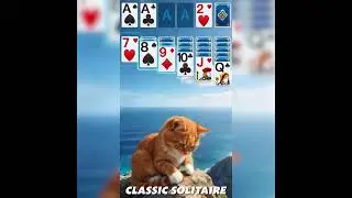Solitaire Legend V230- 800&times;800