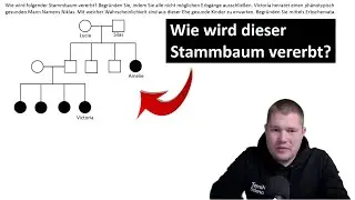 ABI-TRAINING - Stammbaumanalyse (1): Wie wird dieser Stammbaum vererbt?