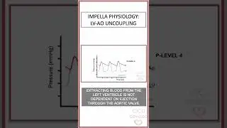 Impella physiology. Left ventricle Aorta uncoupling #shorts #impella