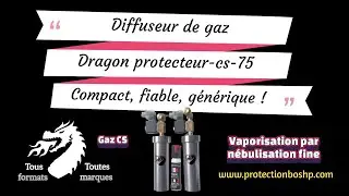 Meilleur sécurité maison et commerce ! Efficacité, prix malin et innovation, Dragon protecteur-cs-75