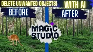 What is MagicStudio and How Does It Work? | Digital Muhammad.