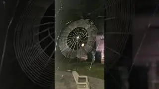 Spider weaving her Web | Beautiful art Captured in CCTV