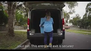 🐾 The Best Travel Crates for Safe Pet Transport | Airline-Approved & Secure