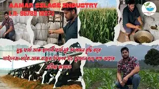 Silage Green Fodder Grass For Our Dairy&Goat Farmer In Assam By&ldquo;Aamar Silage Industry&rdquo;C.N:9678918273