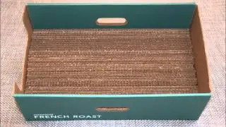 DIY Cardboard Cat Scratching Box