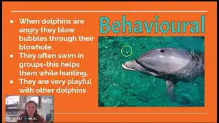 Behavioural VS. Physical Adaptations