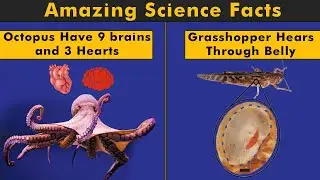 Most Amazing Science Facts You Didn't Know Before! (Urdu/Hindi)