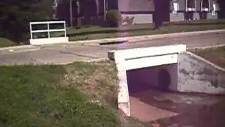 bail 1