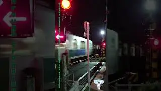 【My Daily Life】Trains speed through crossings and stations