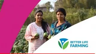 Better Life Farming - Enhancing agriculture by empowering women through Gender smart ecosystem.