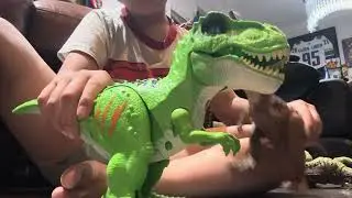 Dino play 4