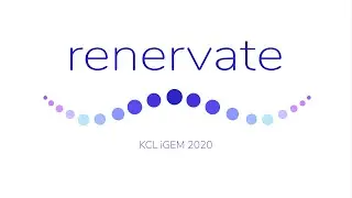 King's College London iGEM 2020: Renervate [ENGLISH]