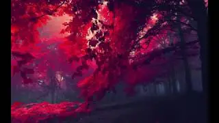 The Light In The Storm - Instrumental