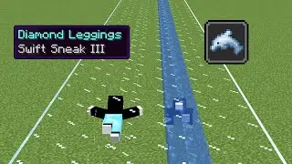 swift sneak 3 vs dolphin's grace