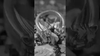 Energetic Tiger Ring - Silver ring at Helios