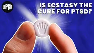 Could MDMA Help Cure PTSD? | Unpacked