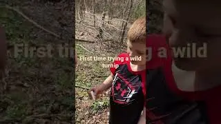 First time trying a wild turnip￼