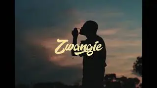 Zwangie_ Official Temwa Video