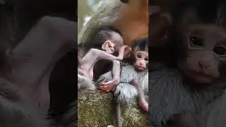 #shorts mother care lovely baby