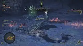 NINTENDO SWITCH 2 Monster Hunter Wilds