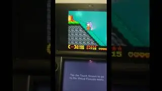 shantae (gbc) forest heart holder early
