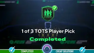 1 of 3 TOTS Player Pick Opened! - Cheap Solution & SBC Tips - FC 25