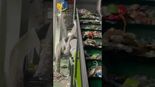 How efficient label remover machine for recycling waste PET plastic bottles#technology #machine