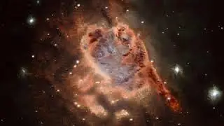 Training Image Experiment   Latent Space Walk