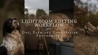Lightroom Editing Workflow for Dog, Farm and Countryside Photography - Our Countryside Wanderings