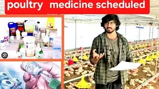 पोल्ट्री मेडिसिन.poultry medicine managment schedule. ब्रॉइलर फार्म. broiler farm