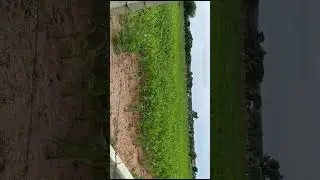 1 Acre Agriculture and for Sale in Mucherla Near Tukkuguda Hyderabad 6301826291