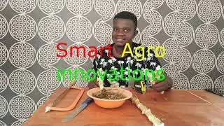 EP 4  Cassava Multiplication Using Tissue Culture