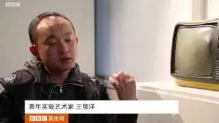 Yuyang Wang's experimental art (王郁洋讲座)