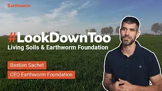 What is Earthworm's Approach in Soils?